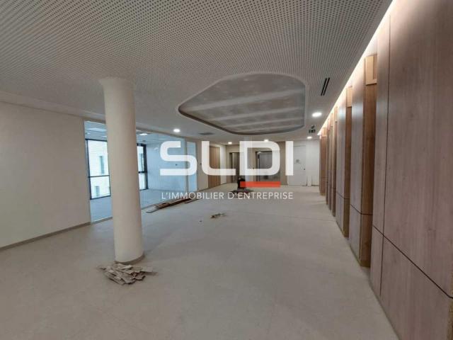 Bureaux A LOUER - GENAS - 9 725 m²