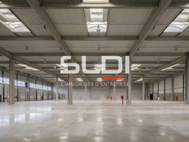 Locaux d'activités A LOUER - MIRIBEL - 9 623 m²