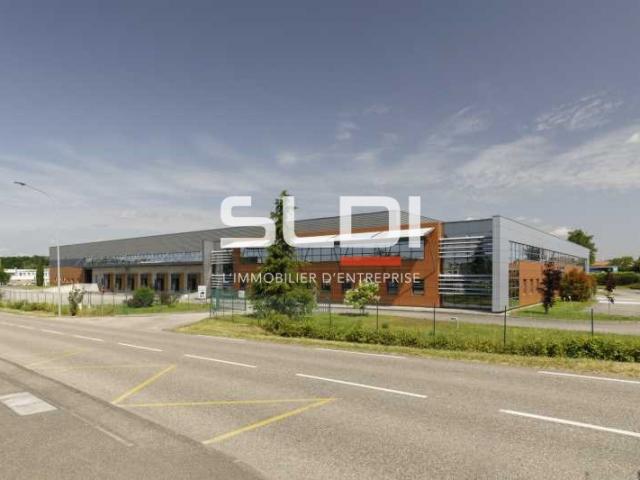 Locaux d'activités A LOUER - MIRIBEL - 9 623 m²