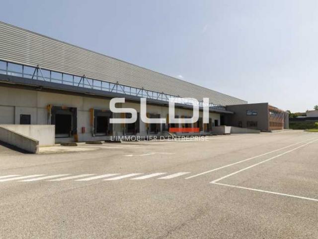 Locaux d'activités A LOUER - MIRIBEL - 9 623 m²