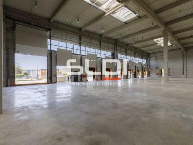 Locaux d'activités A LOUER - MIRIBEL - 9 623 m²