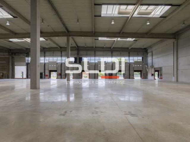 Locaux d'activités A LOUER - MIRIBEL - 9 623 m²