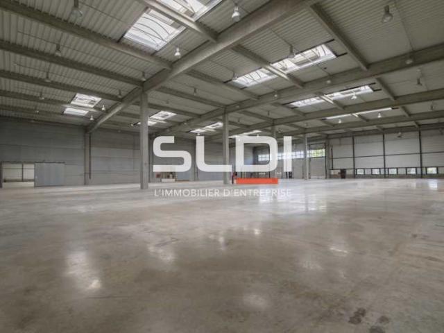 Locaux d'activités A LOUER - MIRIBEL - 9 623 m²