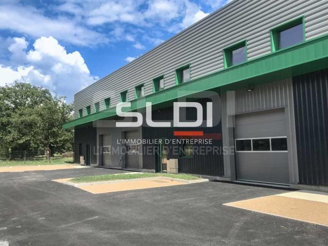 Locaux d'activités A LOUER - TIGNIEU JAMEYZIEU - 230 m²