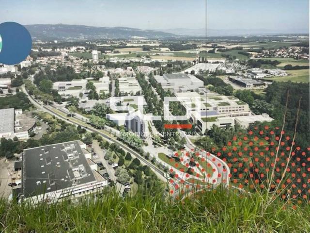 Locaux d'activités A LOUER - RILLIEUX LA PAPE - 10 238 m²