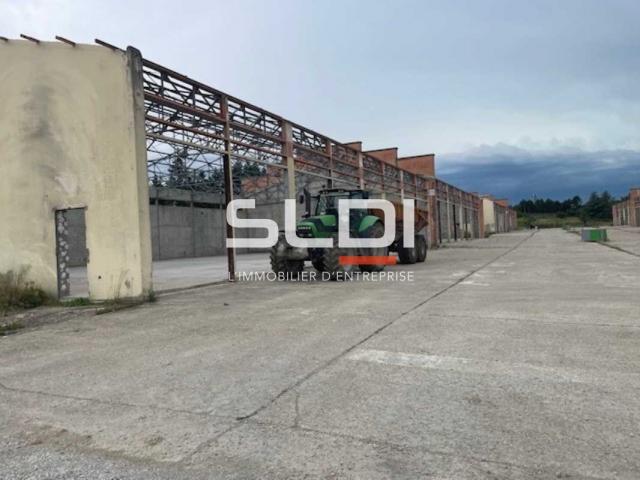 Locaux d'activités A LOUER - RILLIEUX LA PAPE - 10 238 m²
