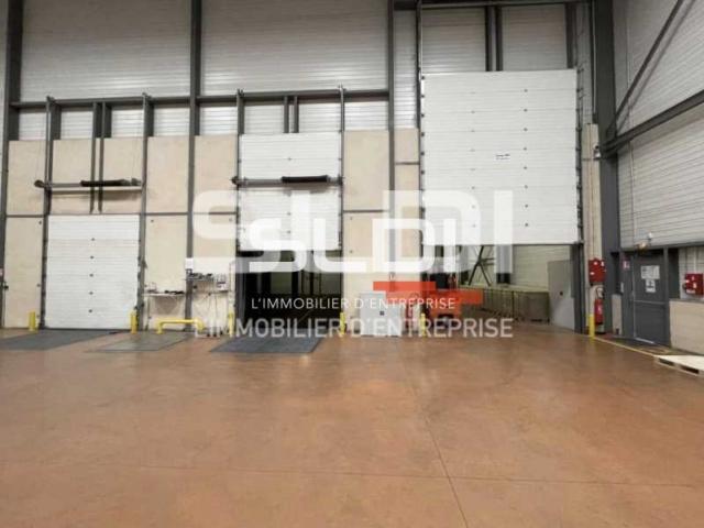 Locaux d'activités A LOUER - LOZANNE - 2 745 m²
