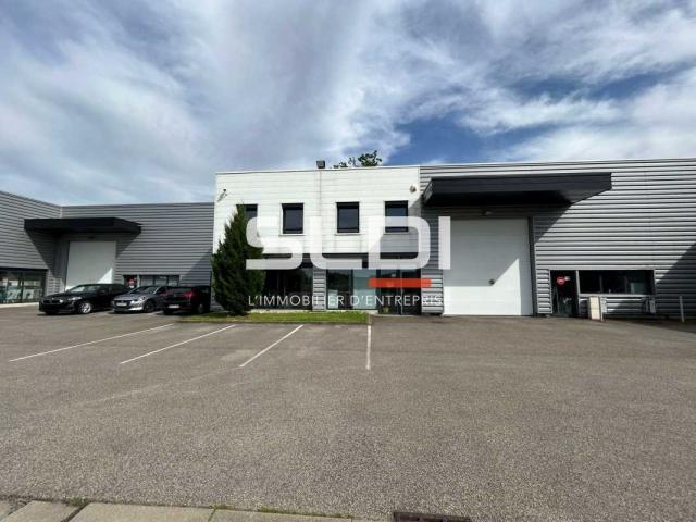 Locaux d'activités A LOUER - NEUVILLE SUR SAONE - 565 m²