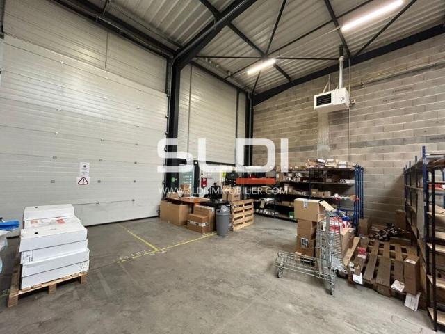 Locaux d'activités A LOUER - NEUVILLE SUR SAONE - 565 m²