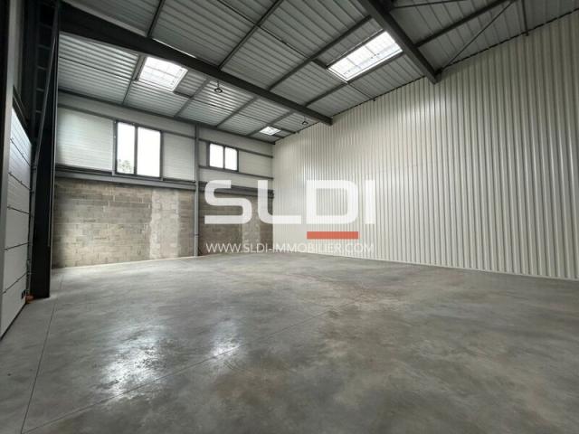Locaux d'activités A LOUER - NEUVILLE SUR SAONE - 565 m²