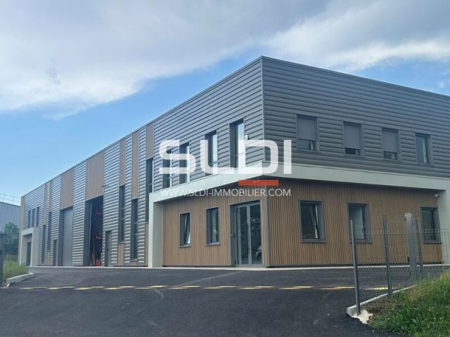 Locaux d'activités A LOUER - TREVOUX - 515 m²