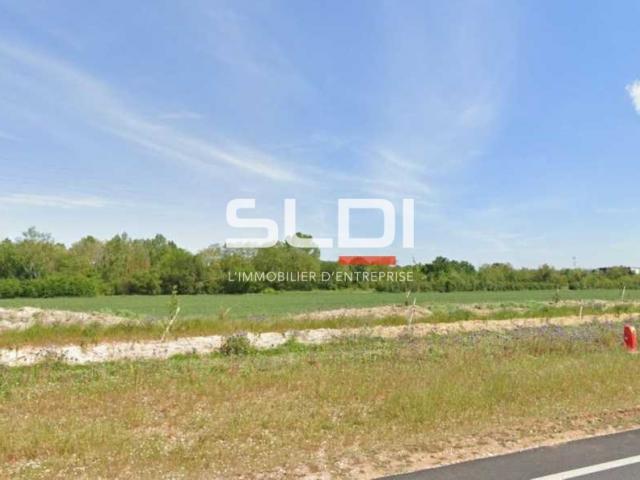 Terrains A VENDRE - VILLIEU LOYES MOLLON - 25 396 m²