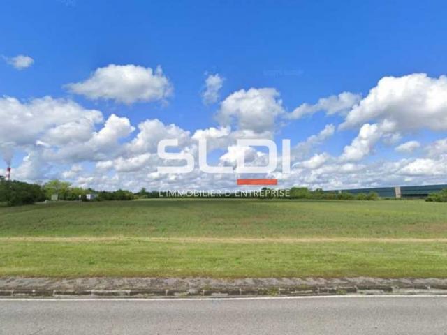 Terrains A VENDRE - VILLIEU LOYES MOLLON - 25 396 m²