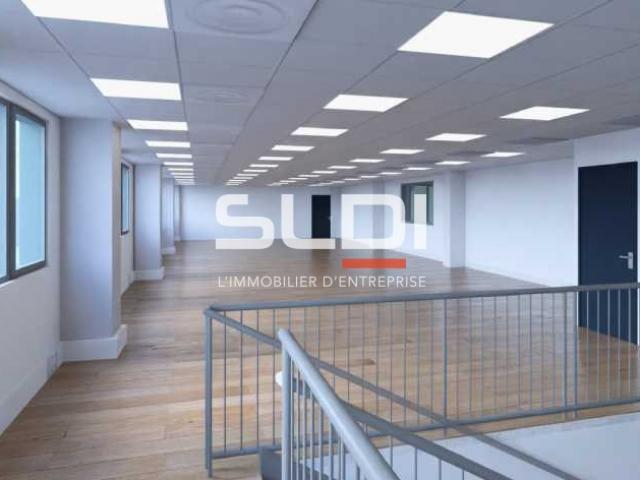 Locaux d'activités A VENDRE OU A LOUER - DECINES CHARPIEU - 4 887 m²