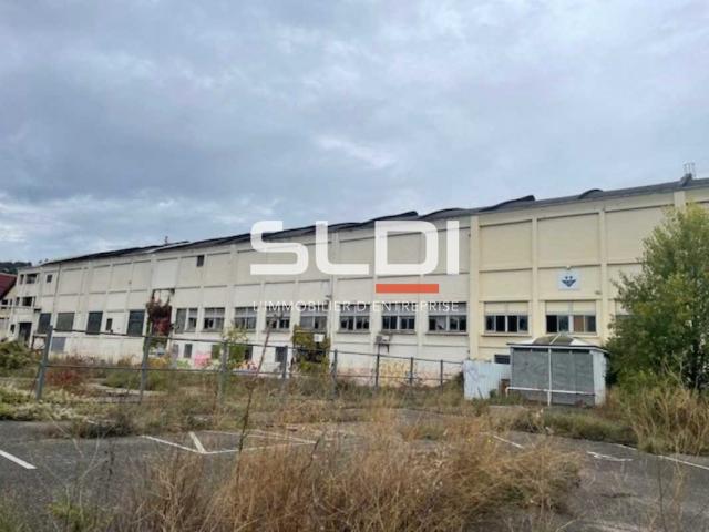 Locaux d'activités A VENDRE - GIVORS - 4 387 m²