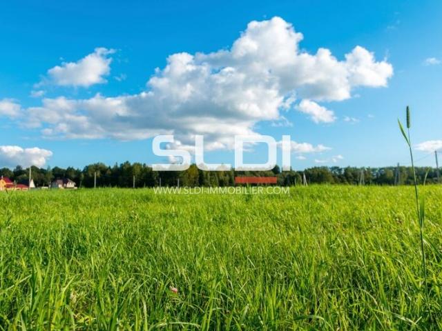 Terrains A VENDRE - Belleville-en-Beaujolais - 465 764 m²