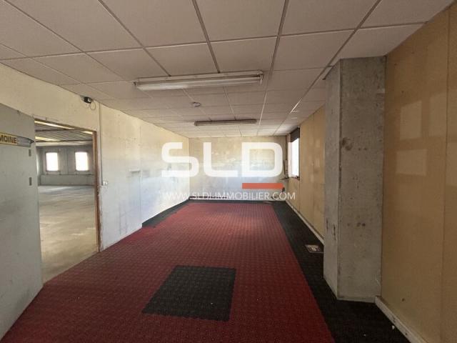 Locaux d'activités A LOUER - ANSE - 680 m²