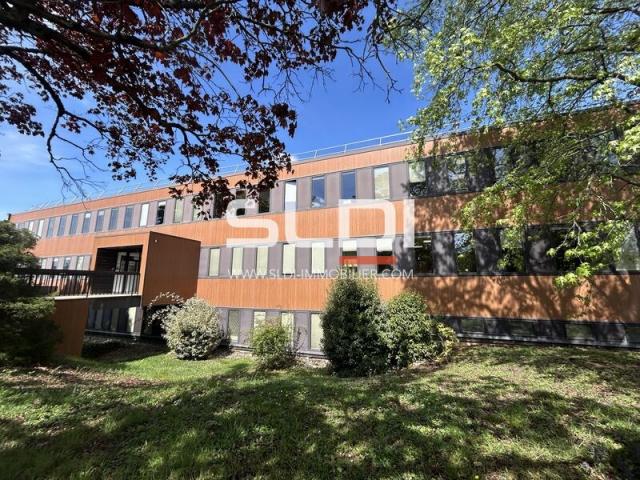 Bureaux A LOUER - DARDILLY - 317 m²