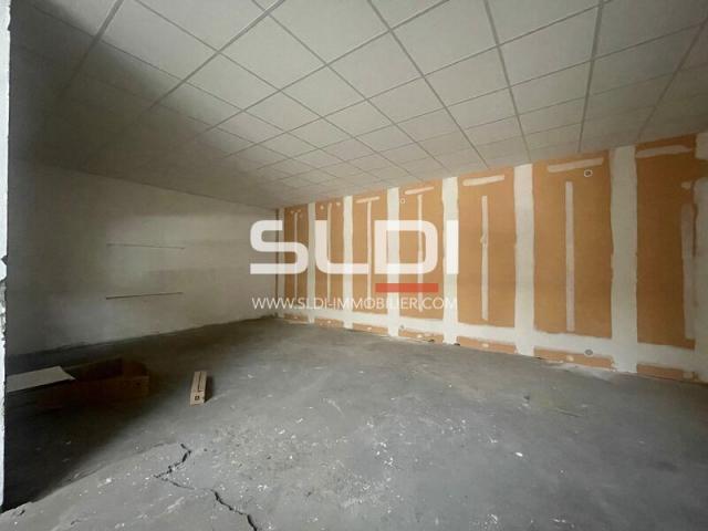 Locaux d'activités A VENDRE - VILLEURBANNE - 3 350 m²