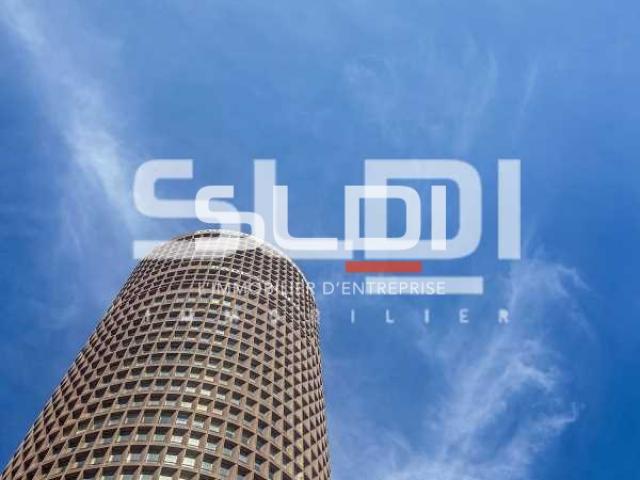 Bureaux A LOUER - LYON - 297 m²