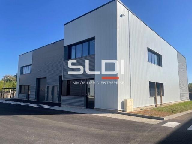 Locaux d'activités A LOUER - OULLINS-PIERRE-BÉNITE - 323 m²