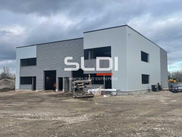 Locaux d'activités A LOUER - OULLINS-PIERRE-BÉNITE - 323 m²