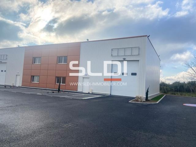 Locaux d'activités A LOUER - CHASSIEU - 2 106 m²