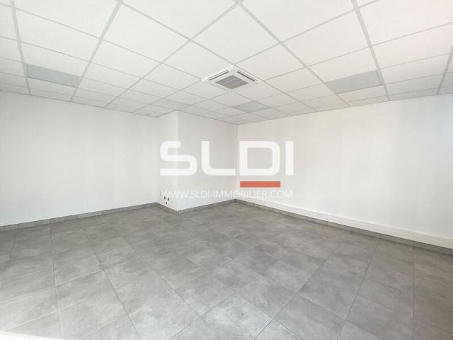 Locaux d'activités A LOUER - CHASSIEU - 2 106 m²