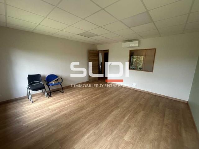 Bureaux A LOUER - ECULLY - 59 m²