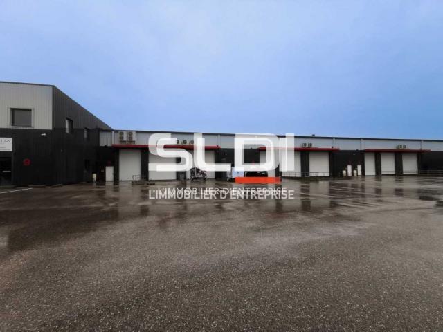 Locaux d'activités A LOUER - SAINT QUENTIN FALLAVIER - 341 m²