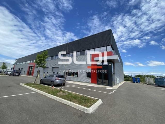 Locaux d'activités A LOUER - DAGNEUX - 2 244 m²