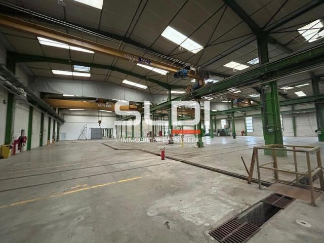 Locaux d'activités A VENDRE OU A LOUER - JASSANS RIOTTIER - 7 883 m²