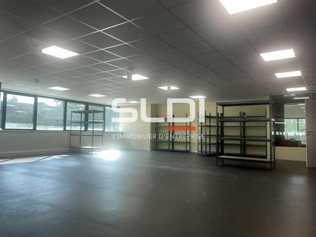 Locaux d'activités A LOUER - CHAMPAGNE AU MONT D'OR - 410 m²