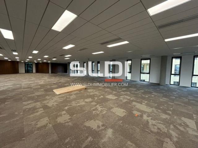 Bureaux A LOUER - LIMONEST - 9 157 m²