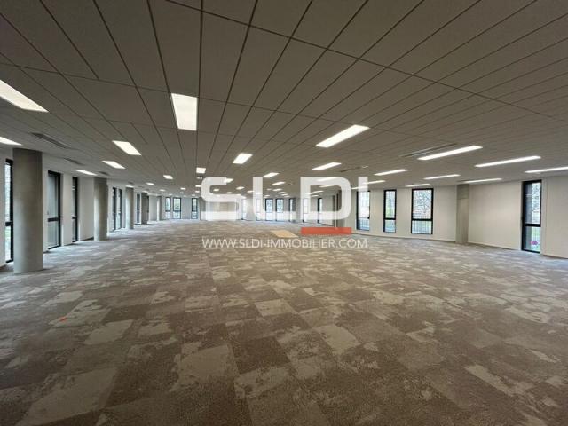 Bureaux A LOUER - LIMONEST - 9 157 m²