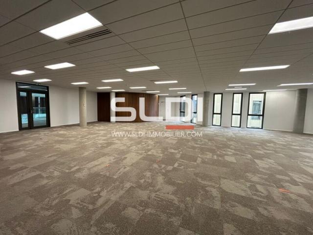 Bureaux A LOUER - LIMONEST - 9 157 m²