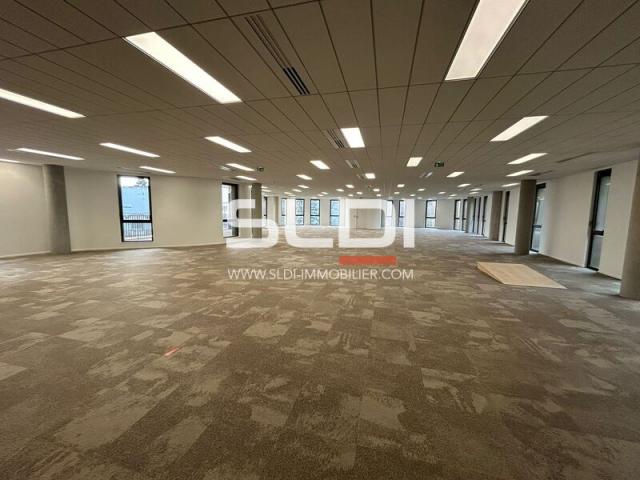 Bureaux A LOUER - LIMONEST - 9 157 m²