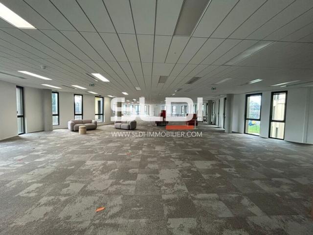 Bureaux A LOUER - LIMONEST - 9 157 m²