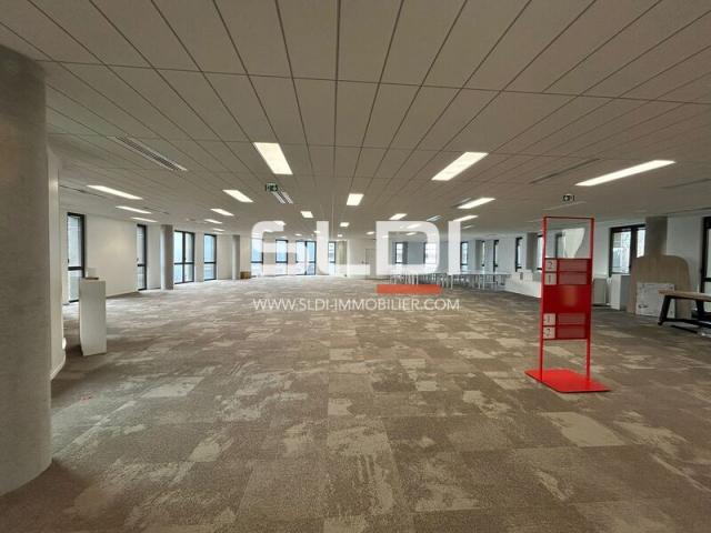 Bureaux A LOUER - LIMONEST - 9 157 m²