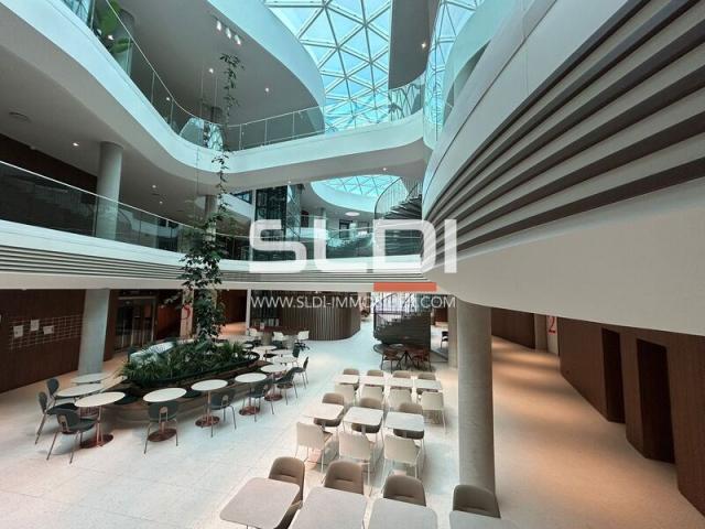 Bureaux A LOUER - LIMONEST - 9 157 m²