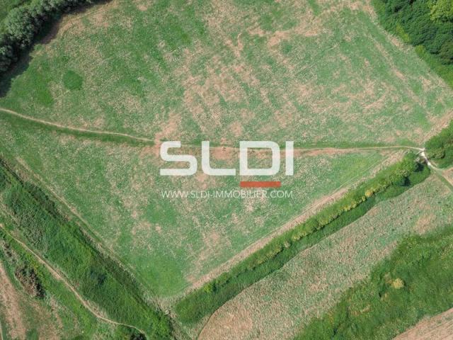 Terrains A VENDRE - SANCE - 15 000 m²