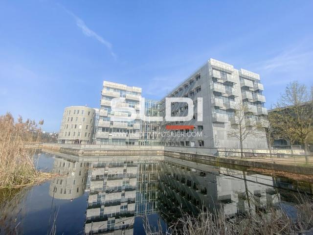 Bureaux A LOUER - LYON - 900 m²