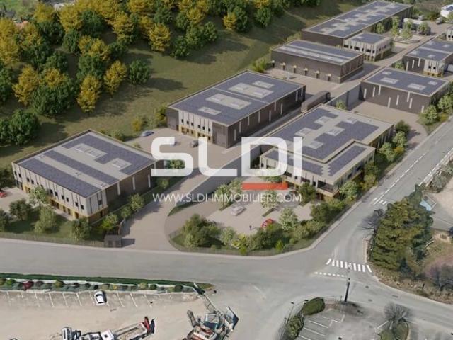 Locaux d'activités A VENDRE - CHAPONOST - 8 930 m²
