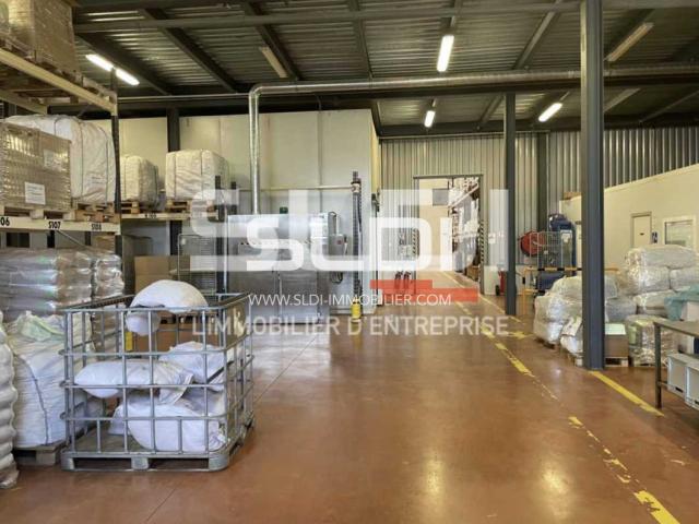 Locaux d'activités A VENDRE - LOZANNE - 4 775 m²