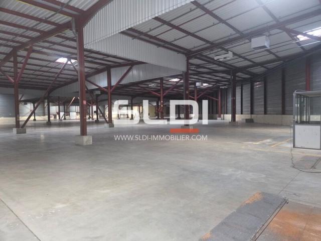Locaux d'activités A LOUER - SAINT CHAMOND - 8 439 m²