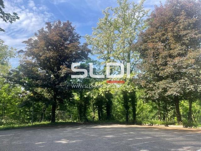 Bureaux A LOUER - ECULLY - 234 m²
