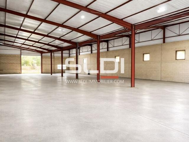 Locaux d'activités A VENDRE - Belleville-en-Beaujolais - 484 m²