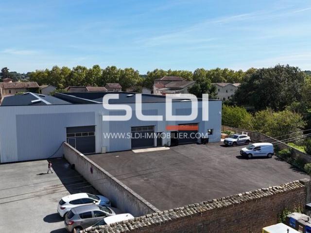 Locaux d'activités A VENDRE - Belleville-en-Beaujolais - 484 m²