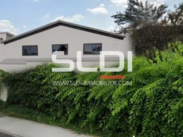Locaux d'activités A LOUER - BRIGNAIS - 350 m²