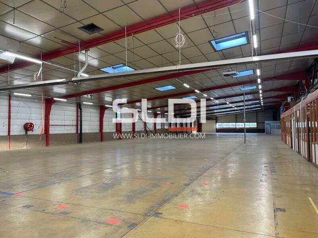 Locaux d'activités A VENDRE OU A LOUER - RILLIEUX LA PAPE - 3 200 m²